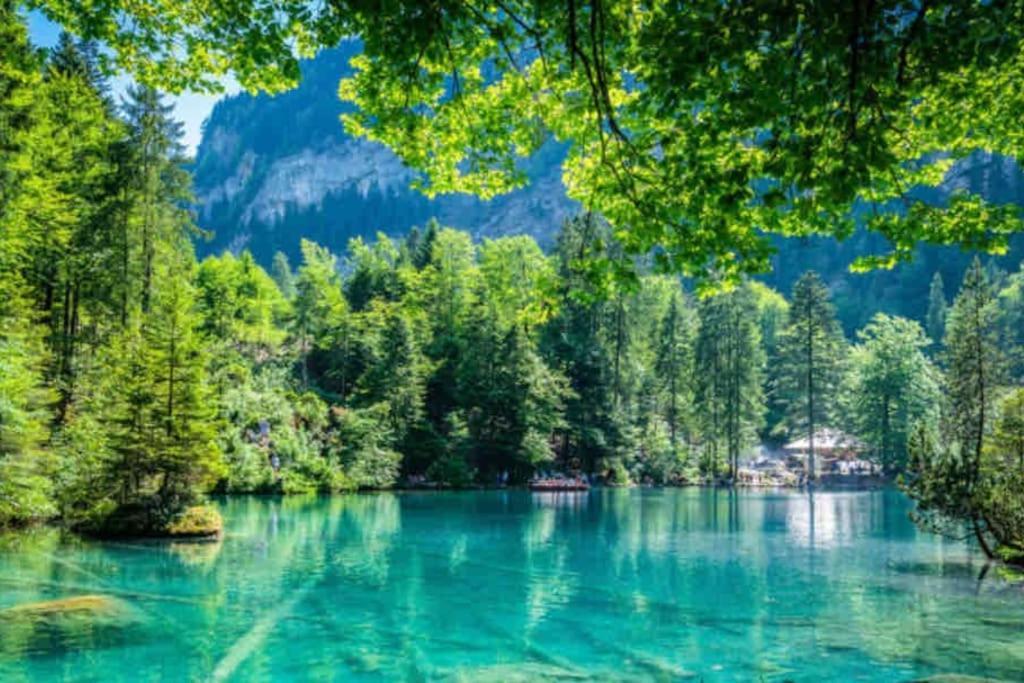 Bellevue & Classy Mountain View Apartment Kandersteg Buitenkant foto