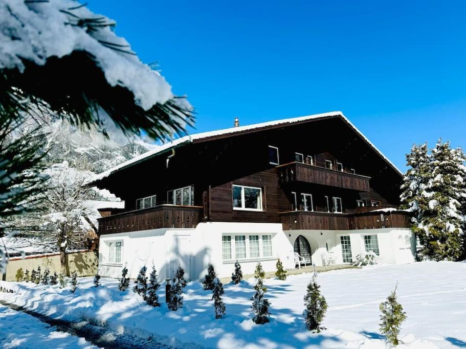 Bellevue & Classy Mountain View Apartment Kandersteg Buitenkant foto